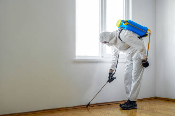 Best Residential Pest Control  in Sunbury, PA