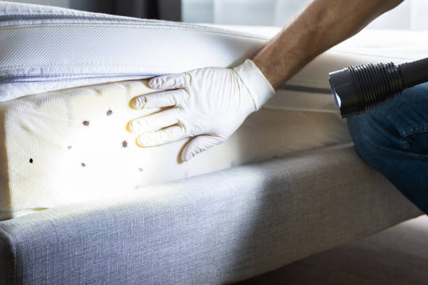 Best Bed Bug Extermination  in Sunbury, PA